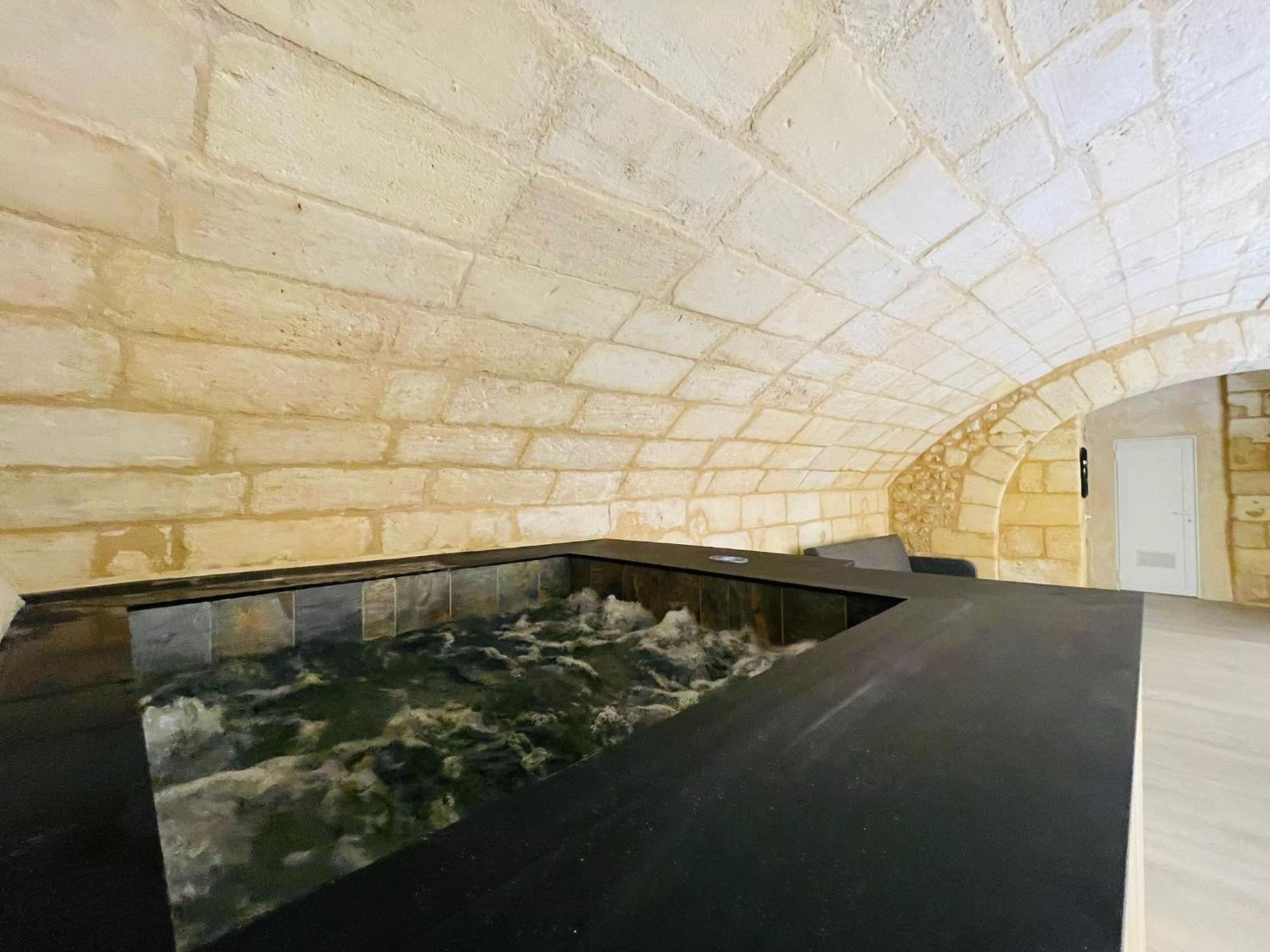 Loft Bordelais Lägenhet Bordeaux Exteriör bild